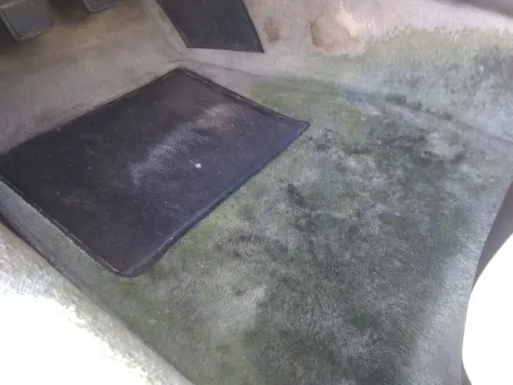Car carpet with mildew and a dark floor mat before water extraction
