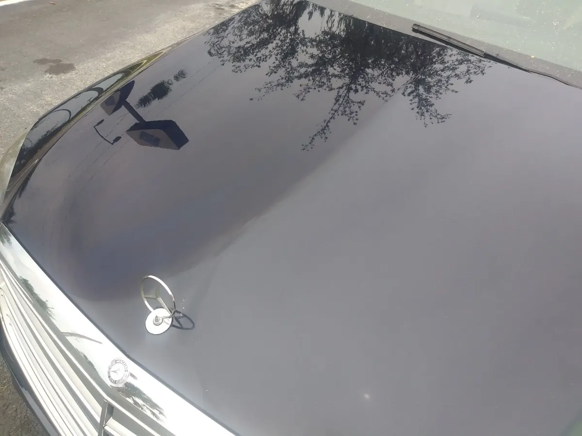Glossy black hood after a machine wax