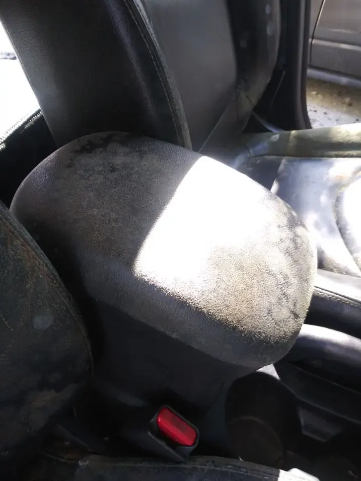 Leather seat covered in mold spots before treatment